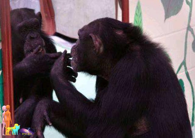 �����ڶ�����������ģ������ǵ������ж���أ�