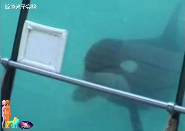 �����ڶ�����������ģ������ǵ������ж���أ�