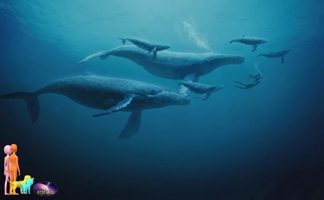 �����ڶ�����������ģ������ǵ������ж���أ�