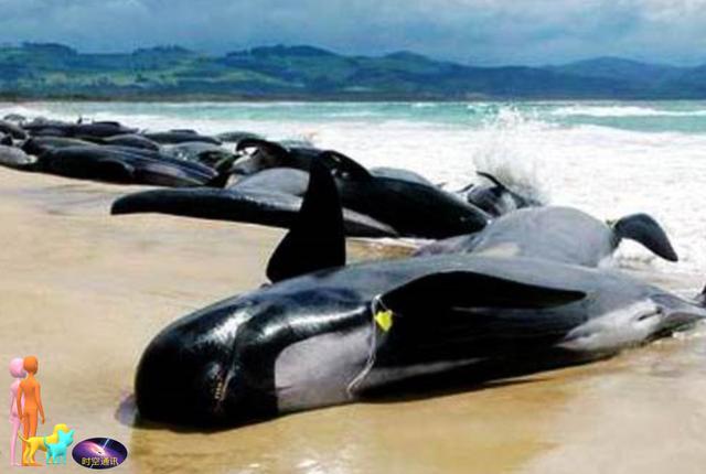 �����ڶ�����������ģ������ǵ������ж���أ�