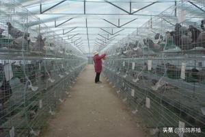 ��ֳʲô���ӻ���Ǯ��