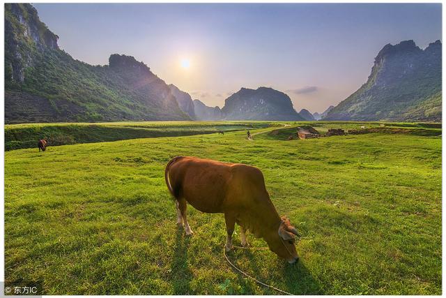 �������һ��ҵ���ڶ���ҵ��������ҵ���ر����Ļ���ҵ