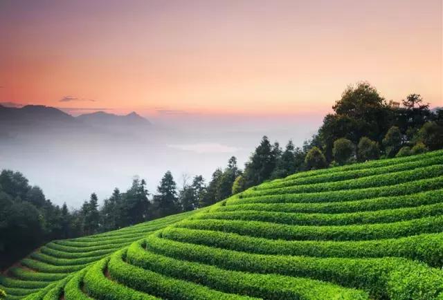 �����ܱ����ʺ�����ȥ��10���ط���˵�߾��ߣ�