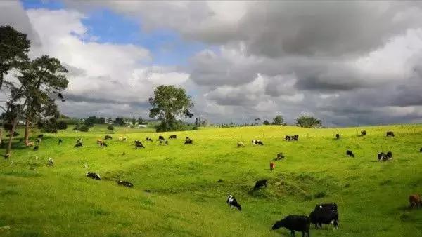 �����ܱ����ʺ�����ȥ��10���ط���˵�߾��ߣ�