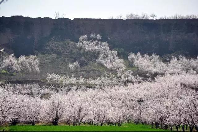 �����ܱ����ʺ�����ȥ��10���ط���˵�߾��ߣ�