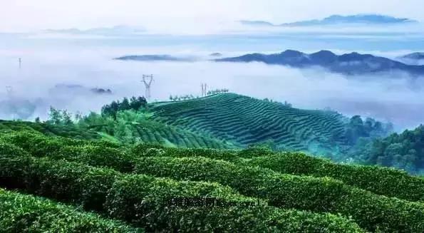 �����ܱ����ʺ�����ȥ��10���ط���˵�߾��ߣ�