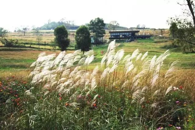 �����ܱ����ʺ�����ȥ��10���ط���˵�߾��ߣ�