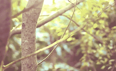 �����ܱ����ʺ�����ȥ��10���ط���˵�߾��ߣ�