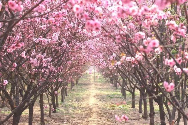 �����ܱ����ʺ�����ȥ��10���ط���˵�߾��ߣ�