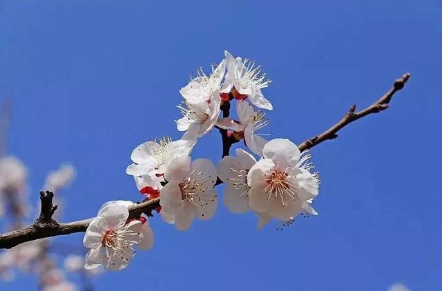 �����ܱ����ʺ�����ȥ��10���ط���˵�߾��ߣ�