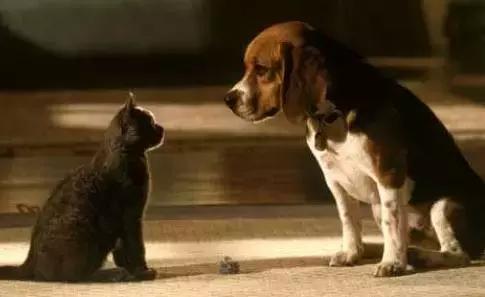 ��Ӣ����12��ʵ�����ѹ�ϵӢ�ı�������ɲ���old iron