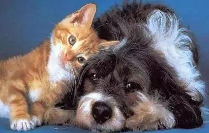 ��Ӣ����12��ʵ�����ѹ�ϵӢ�ı�������ɲ���old iron