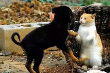 ��Ӣ����12��ʵ�����ѹ�ϵӢ�ı�������ɲ���old iron