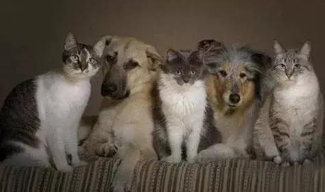 ��Ӣ����12��ʵ�����ѹ�ϵӢ�ı�������ɲ���old iron