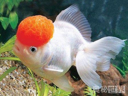 ��������ô˯���ģ����ֿɰ���Ȥ��˯��