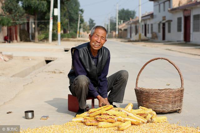 �������Ѵ�58%��ũ�������Ҳ��������ר��ָ��ɶ���㻯