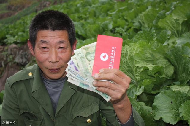 �������Ѵ�58%��ũ�������Ҳ��������ר��ָ��ɶ���㻯