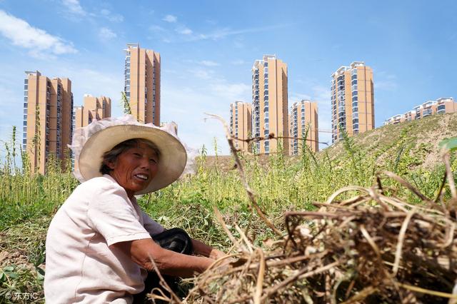 �������Ѵ�58%��ũ�������Ҳ��������ר��ָ��ɶ���㻯