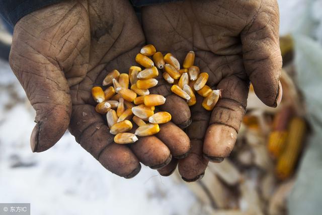 �������Ѵ�58%��ũ�������Ҳ��������ר��ָ��ɶ���㻯