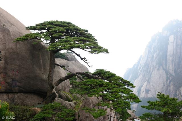 �й���ɽ���ľ�����һ�����ɣ�������ʯ�������ƺ����ľ��ǣ�