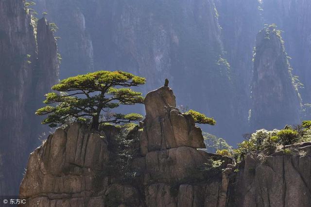 �й���ɽ���ľ�����һ�����ɣ�������ʯ�������ƺ����ľ��ǣ�