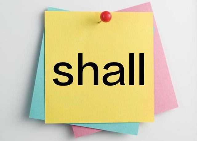 ����ͬѧ�����ף�shallΪʲô�������ڵ����˳��أ�