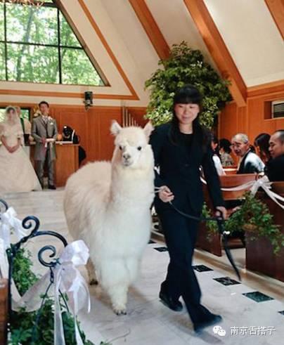 ÿ����������������㰮��