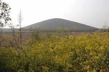 ʲô�ǳ����ܿܣ���������������Ĺ�����������