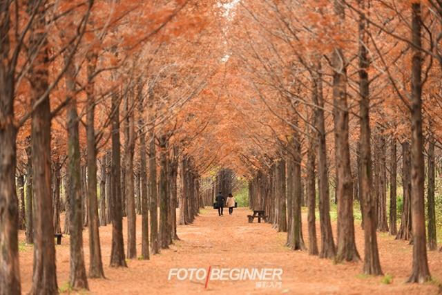 ʲô�ǳ�����ͷ�ġ�ѹ��Ч������