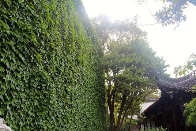 һ����Ƭ����ɽ����ǰ������