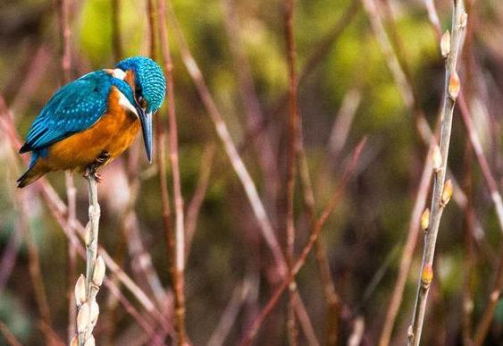 ʲô�Ǽ�֣�ʲôҲ��Ϊ��ֻ��һ����Ϊ���ִ˲�ƣ