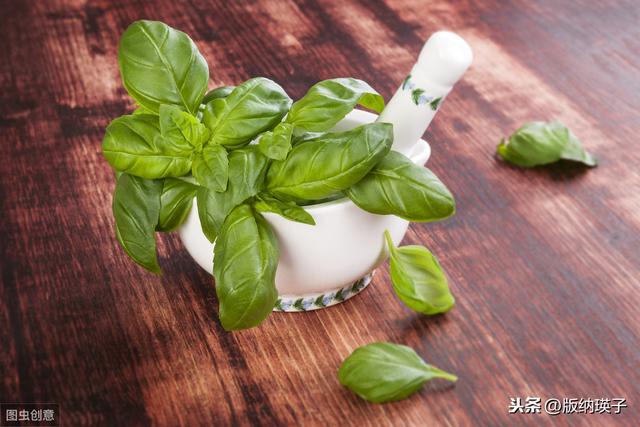 �Ų�����ʲô���ϣ����滹�����գ�������������ʳ������ε�ζ