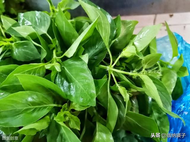 �Ų�����ʲô���ϣ����滹�����գ�������������ʳ������ε�ζ