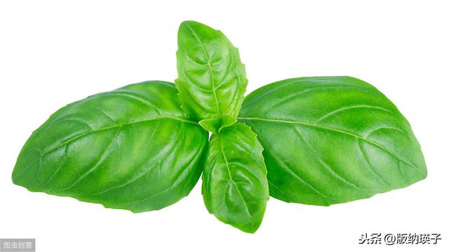 �Ų�����ʲô���ϣ����滹�����գ�������������ʳ������ε�ζ