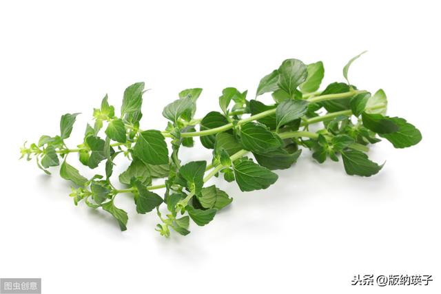 �Ų�����ʲô���ϣ����滹�����գ�������������ʳ������ε�ζ