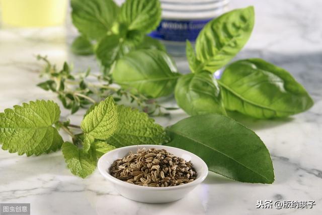 �Ų�����ʲô���ϣ����滹�����գ�������������ʳ������ε�ζ