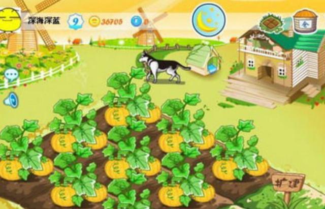 ����ȷ��Ҫ�ر�QQ�ռ��𣿡���886����