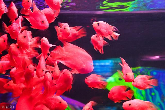 �������㲻��Ϲ������7�������ڼ���вƽ���������Խ��Խ��