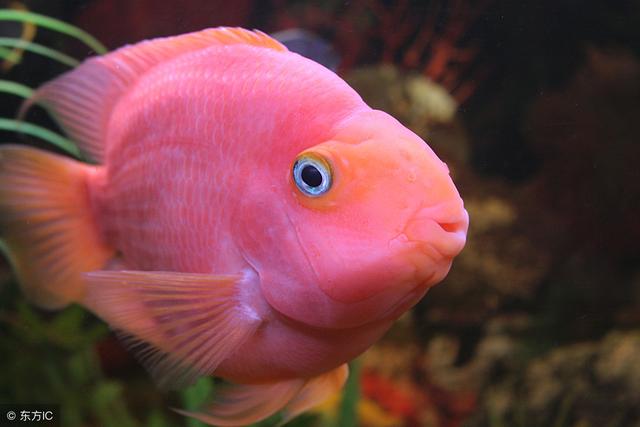 �������㲻��Ϲ������7�������ڼ���вƽ���������Խ��Խ��