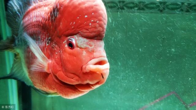 �������㲻��Ϲ������7�������ڼ���вƽ���������Խ��Խ��