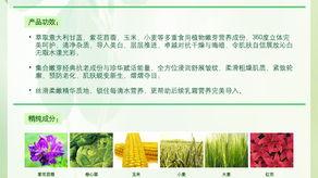 ��ٴ���ѿ�Ͱ׽���ϵ�У�