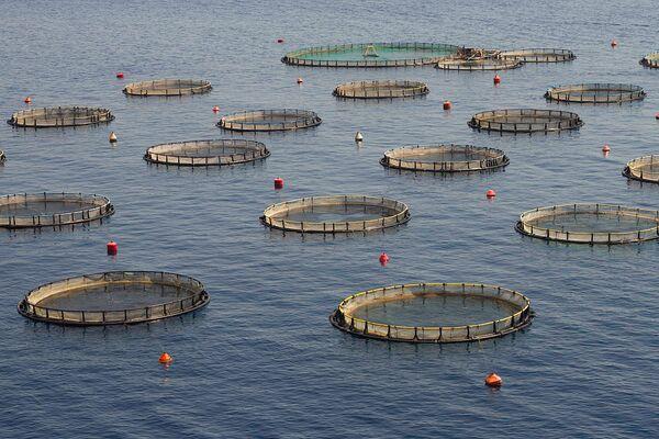 ũ��������ʲô����׬Ǯ��ũ����ֳ����ֲ��Ŀǳ��