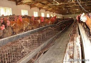 ������ũ����ע���ˣ������ʵ�õ����������㲻�ܴ���