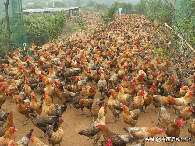 ������ũ����ע���ˣ������ʵ�õ����������㲻�ܴ���