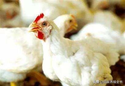 ������ũ����ע���ˣ������ʵ�õ����������㲻�ܴ���