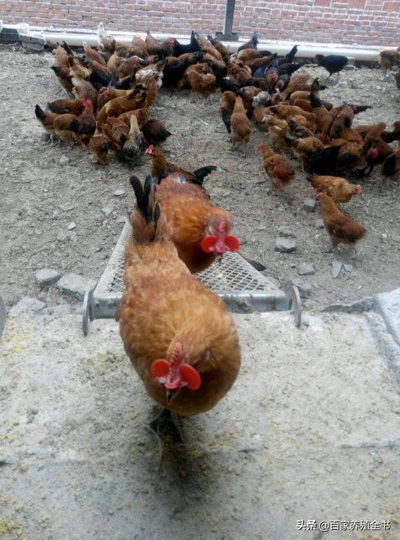 ������ũ����ע���ˣ������ʵ�õ����������㲻�ܴ���