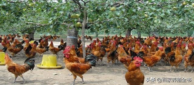 ������ũ����ע���ˣ������ʵ�õ����������㲻�ܴ���