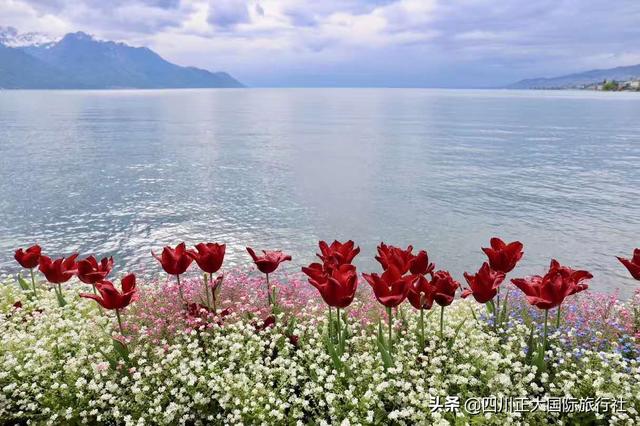 �����������������������������һ��֪�����������ٶ�