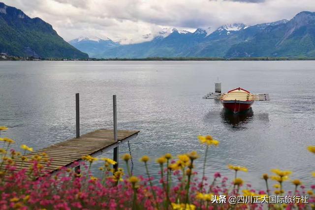 �����������������������������һ��֪�����������ٶ�