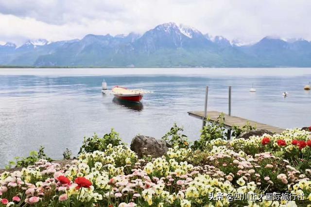 �����������������������������һ��֪�����������ٶ�